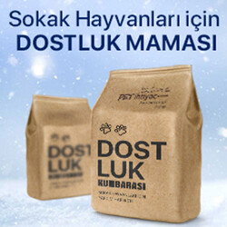 Dostluk Kumbarası - Dostluk Kumbarası Yavru Köpek Maması 3 Kg 