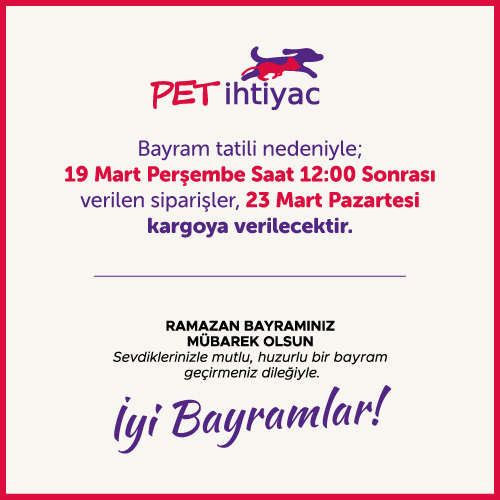 ramazan.jpeg (100 KB)