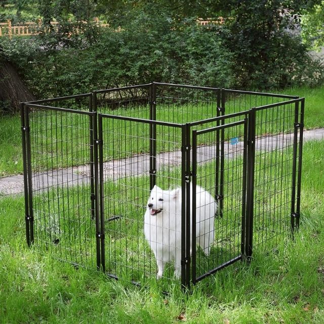 köpek çiti nedir