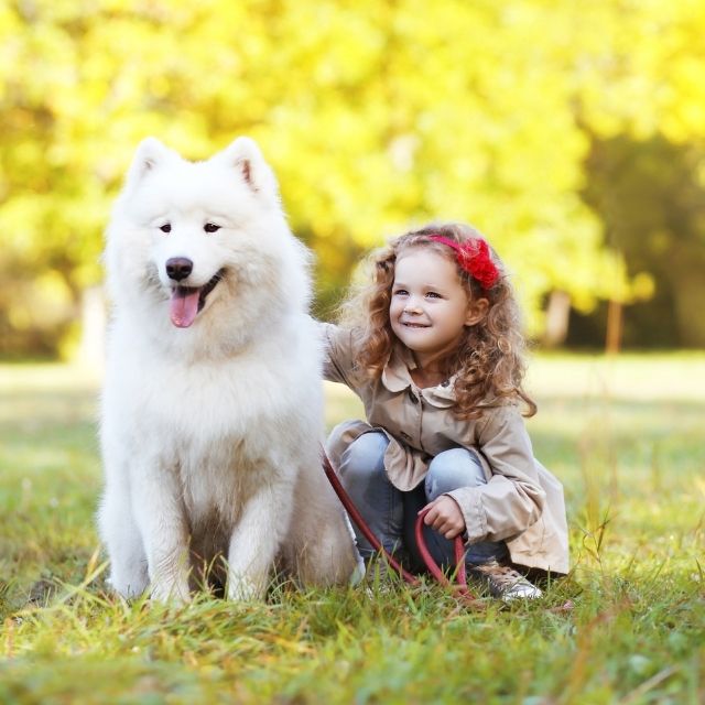 çocukları köpeklerle büyütmenin faydaları