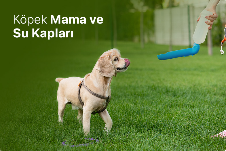 ☑ 100 tl lık yavru köpekler