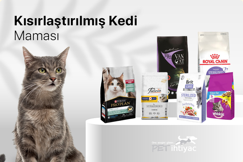 Kısırlaştırılmış Kedi Maması Fiyatları Ve Markaları - Pet İhtiyaç