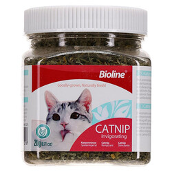 Bioline - Bioline Catnip Kedi Otu 20 Gr 