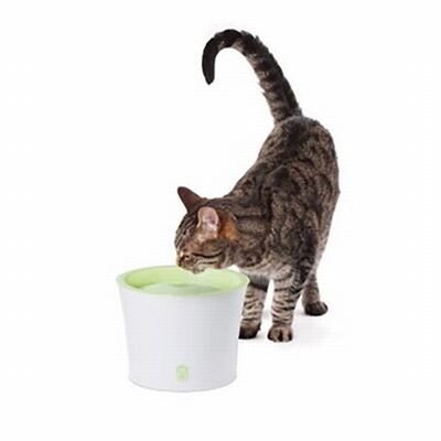 Catit Fresh Clear Otomatik Kedi Su Kabı 3 Lt 