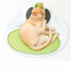 Catit Senses 2.0 Wellness Center Kedi Oyuncağı 50x15x45 Cm - Thumbnail