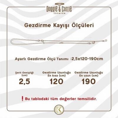 Doggie Ayarlanabilir Deri Eğitim Köpek Gezdirme Tasması Royalblue 2x120-190 Cm 