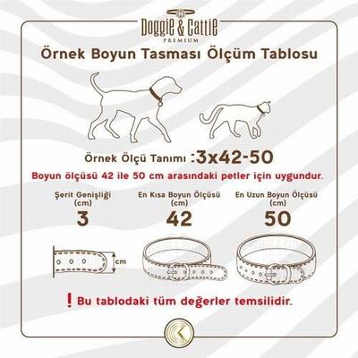 Doggie Çift Kat Deri Güçlü Çivili Köpek Boyun Tasması Camel 5x55-65 Cm 