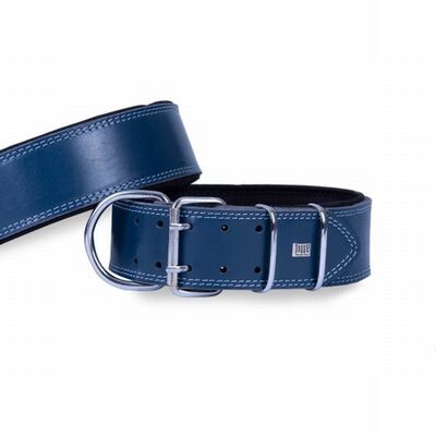 Doggie Çift Kat Deri Köpek Boyun Tasması Royalblue 6x55-65 Cm 