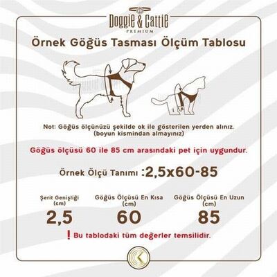 Doggie Havalı Dokuma Küçük Irk Köpek Göğüs Tasması Royalblue 2x50-65 Cm 