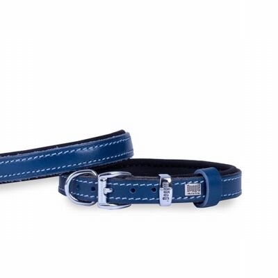 Doggie Konfor Deri Köpek Boyun Tasması Royalblue 1,5x25 30 Cm 