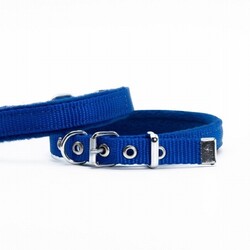 Doggie - Doggie Polar Pedli Sade Dokuma Köpek Boyun Tasması Royalblue 1,5x20-25 Cm 