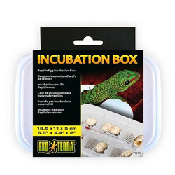 Exo Terra - Exo Terra Incubation Box Sürüngenler İçin Kuluçka Kutusu 16,5x11x5 Cm 