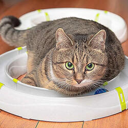 Ferplast Typhon Ring Kedi Oyun Platformu 85x40x10 Cm - Thumbnail