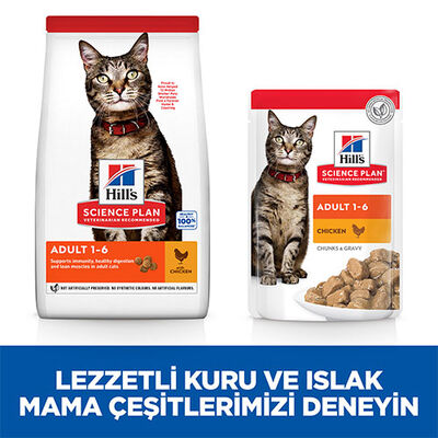 Hill’s SCIENCE PLAN Adult Cat Chicken Tavuklu Yetişkin Kedi Maması 1,5 Kg 