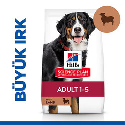 Hill's Science Plan - Hill’s SCIENCE PLAN Adult Large Breed Lamb & Rice Büyük Irk Kuzulu Yetişkin Köpek Maması 14 Kg 