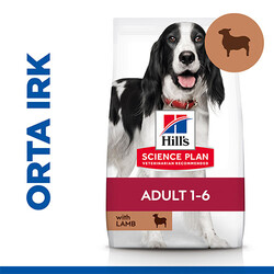 Hill's Science Plan - Hill’s SCIENCE PLAN Adult Medium Lamb & Rice Orta Irk Kuzulu Yetişkin Köpek Maması 14 Kg 