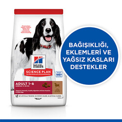 Hill’s SCIENCE PLAN Adult Medium Lamb & Rice Orta Irk Kuzulu Yetişkin Köpek Maması 2,5 Kg - Thumbnail