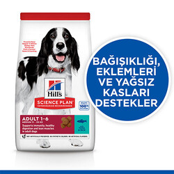 Hill’s SCIENCE PLAN Adult Medium Tuna & Rice Orta Irk Ton Balıklı Yetişkin Köpek Maması 2,5 Kg - Thumbnail