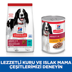 Hill’s SCIENCE PLAN Adult Medium Tuna & Rice Orta Irk Ton Balıklı Yetişkin Köpek Maması 2,5 Kg - Thumbnail