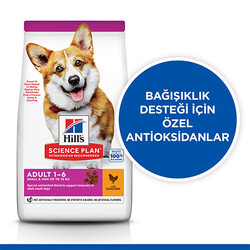 Hill’s SCIENCE PLAN Adult Small & Mini Chicken Küçük Irk Tavuklu Yetişkin Köpek Maması 6 Kg - Thumbnail