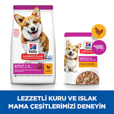 Hill’s SCIENCE PLAN Adult Small & Mini Chicken Küçük Irk Tavuklu Yetişkin Köpek Maması 6 Kg 