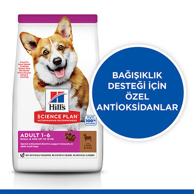 Hill’s SCIENCE PLAN Adult Small & Mini Lamb & Rice Küçük Irk Kuzulu Yetişkin Köpek Maması 1,5 Kg 