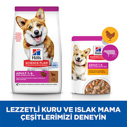 Hill’s SCIENCE PLAN Adult Small & Mini Lamb & Rice Küçük Irk Kuzulu Yetişkin Köpek Maması 1,5 Kg - Thumbnail