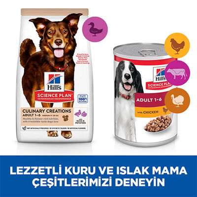 Hill’s SCIENCE PLAN Culinary Creations Ördekli ve Patatesli Yetişkin Köpek Maması 14 Kg 