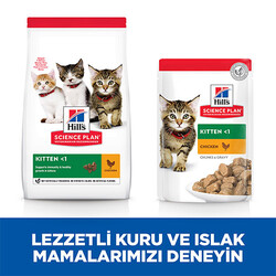 Hill’s SCIENCE PLAN Kitten Tavuklu Yavru Kedi Maması 1,5 Kg - Thumbnail