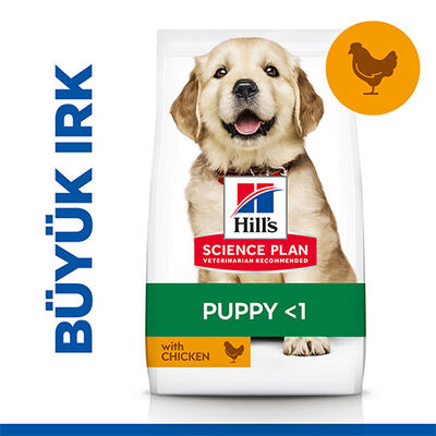 Hill’s SCIENCE PLAN Puppy Large Breed Chicken Büyük Irk Tavuklu Yavru Köpek Maması 14,5 Kg 