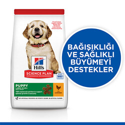 Hill’s SCIENCE PLAN Puppy Large Breed Chicken Büyük Irk Tavuklu Yavru Köpek Maması 14,5 Kg - Thumbnail