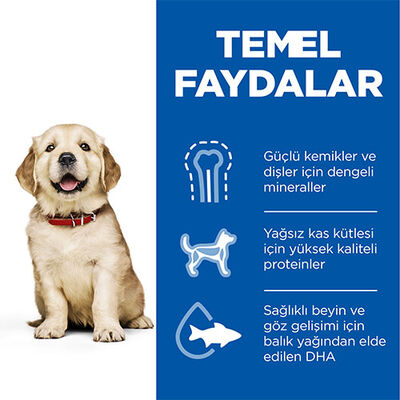 Hill’s SCIENCE PLAN Puppy Large Breed Chicken Büyük Irk Tavuklu Yavru Köpek Maması 14,5 Kg 