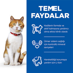 Hill’s SCIENCE PLAN Sterilised Tavuklu Kısırlaştırılmış Kedi Maması 10 Kg - Thumbnail