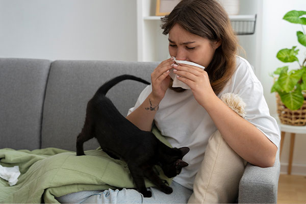 Kedi Alerjisi Nedir? Alerjiyle Yaşarken Kedi Sahibi Olmanın Yolları