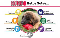 Kong Classic Kauçuk Köpek Oyuncağı XS 6 Cm - Thumbnail