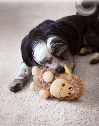 Kong Cruncheez Hışırtılı Koyun Peluş Köpek Oyuncağı Large 21 Cm - Thumbnail