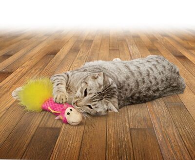 Kong Tüylü ve Kedi Otlu Yastık Kedi Oyuncağı 16 Cm