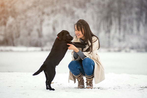 Köpekler İçin Eğlenceli ve Güvenli Kış Aktiviteleri