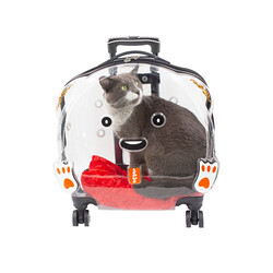 Lepus Wheel Bag Tekerlekli Şeffaf Kedi ve Köpek Taşıma Çantası 42x44x23 Cm - Thumbnail