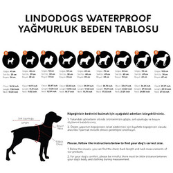 Lindodogs Blue Star Polarlı Köpek Yağmurluğu Beden 1 - Thumbnail