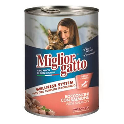 Miglior Gatto Somon Balıklı Yetişkin Kedi Konservesi 24 Adet 405 Gr 