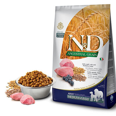 N&D Ancestral Grain Medium Maxi Yaban Mersinli Kuzulu Düşük Tahıllı Yetişkin Köpek Maması 12 Kg 