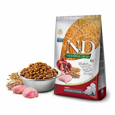 N&D Ancestral Grain Puppy Medium Maxi Tavuklu Narlı Düşük Tahıllı Yavru Köpek Maması 12 Kg 