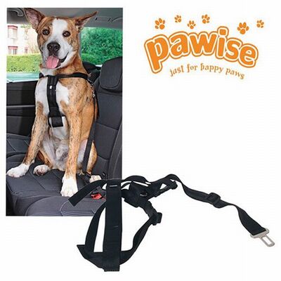 Pawise Emniyet Kemer Tokalı Köpek Tasması XL 80-110 Cm 