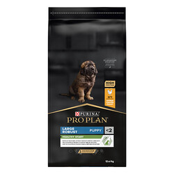 Pro Plan Large Robust Puppy Chicken Tavuklu Büyük Irk Yavru Köpek Maması 12 Kg - Thumbnail