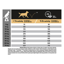 Pro Plan Medium Adult Sensitive Digestion Kuzulu Orta Irk Yetişkin Köpek Maması 16,5 Kg - Thumbnail