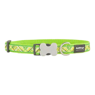 Reddingo Flanno Desenli Lime Köpek Boyun Tasması Medium 20 Mm 31-47 Cm 