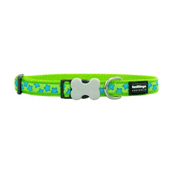 Reddingo - Reddingo Lime Üzerine Turkuaz Yıldızlı Köpek Boyun Tasması Large 25 Mm 41-63 Cm 