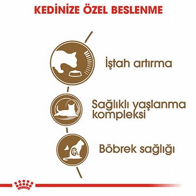 Royal Canin Ageing 12+ Senior Yaşlı Kedi Maması 2 Kg 