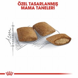 Royal Canin Ageing 12+ Senior Yaşlı Kedi Maması 2 Kg - Thumbnail